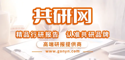 2023-2029年中國文胸市場深度調查與投資前景預測報告