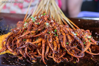 《鐵板魷魚：街頭的味覺傳奇》