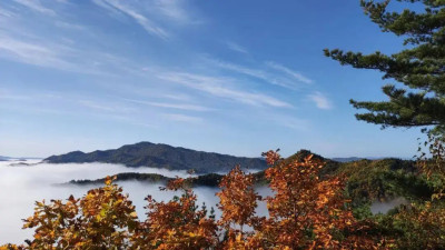 金秋伊春，森林童話之旅——來一場秋天的mountain walk！