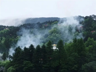 庐山的雲霧