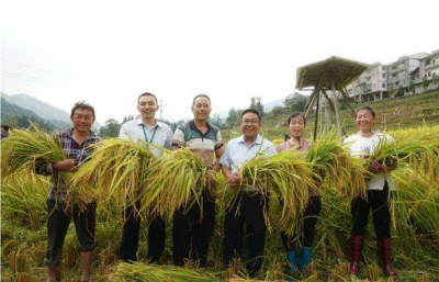 “全國民族團結進步模範個人”楊聰：激活偏僻小山村旅遊活力的引路人