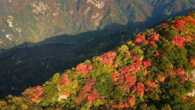 距西安市區只有20公裏，翠華山的秋葉與秦嶺地質奇觀交織成美景