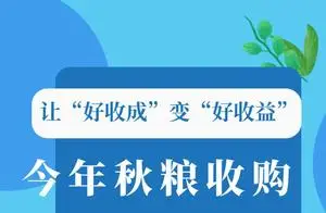 讓“好收成”變“好收益” 今年秋糧收購有何特點