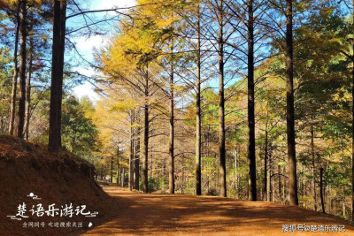 寧波最值得去的古村落，多處風景皆爲網紅打卡地，煙雨之中更美麗