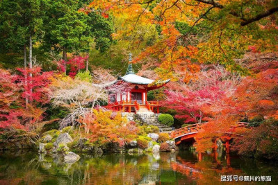 這些秋日紅葉名勝的世界遺產都是人造的！重新認識日本秋天絕景