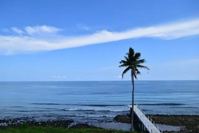 廈門假期行：海風輕揚，美好時光盡在掌握