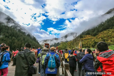 四川大熊貓基地旅遊景點門票多少錢旅遊必看攻略