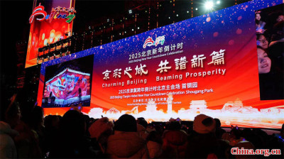 Historic industrial site hosts Beijing\'s New Year bash